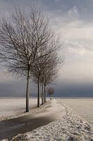 Silent winter