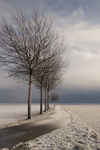 Winter in Groningen van Angelique Boyer