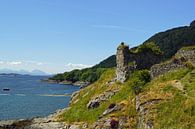 Strome Castle is de ruïne van een laaglandkasteel aan de oever van Loch Carron in Stromemore van Babetts Bildergalerie thumbnail