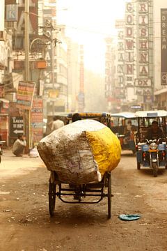 In de straten van New Delhi von Vivian Raaijmaakers