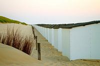 Strand Texel
