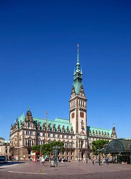 Hamburg Stadhuis op Rathausmarkt, Hamburg, Duitsland, Europa van Torsten Krüger