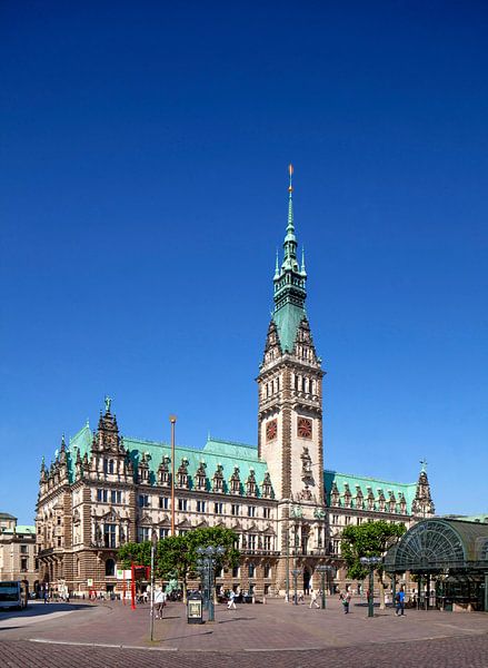 Hamburg City Hall on Rathausmarkt, Hamburg, Germany, Europe by Torsten Krüger