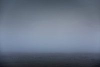 Friesland im Nebel auf dem Tjonger mit Störchen