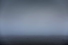 Friesland im Nebel auf dem Tjonger mit Störchen von Rene  den Engelsman