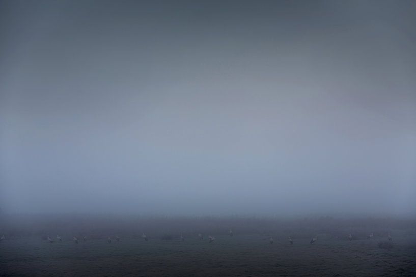 Friesland im Nebel auf dem Tjonger mit Störchen von Rene  den Engelsman