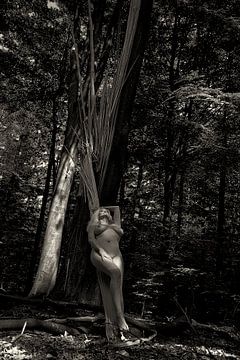 Ein Wald (nackt/akt) von Kees de Knegt