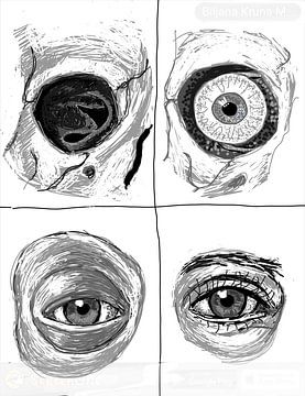 Anatomie der Augen von Biljana Zdravkovic