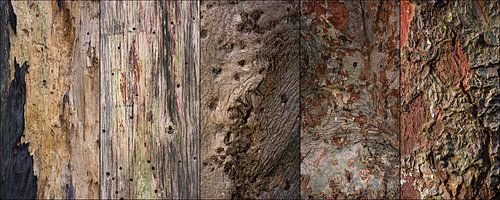 Stamm-Collage aus verschiedenen Strukturen