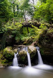 Le Schiessentümpel sur Shorty's adventure