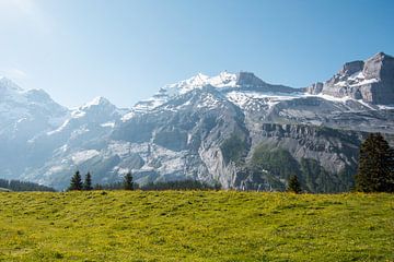 Uitzicht over de Zwitserse bergen van Dayenne van Peperstraten