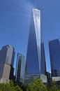 WTC New York by Samira Geerdinck thumbnail