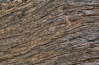 Texture de bois en arrière-plan