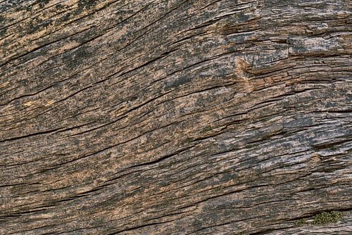 Wood texture as background