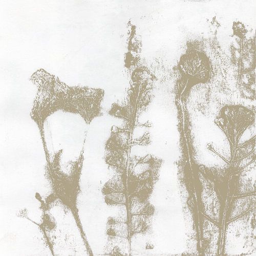 Neutral botanical. Japandi flowers in wabi-sabi style by Dina Dankers