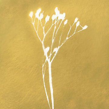 Witte bloemen op goud. Botanische illustratie. van Dina Dankers