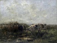 Des vaches à un étang avec un ciel hollandais