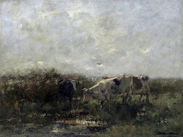 Kühe an einem Teich mit holländischem Himmel