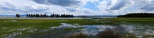 Pelican Creek Panorama Yellowstone National Park sur Christiane Schulze