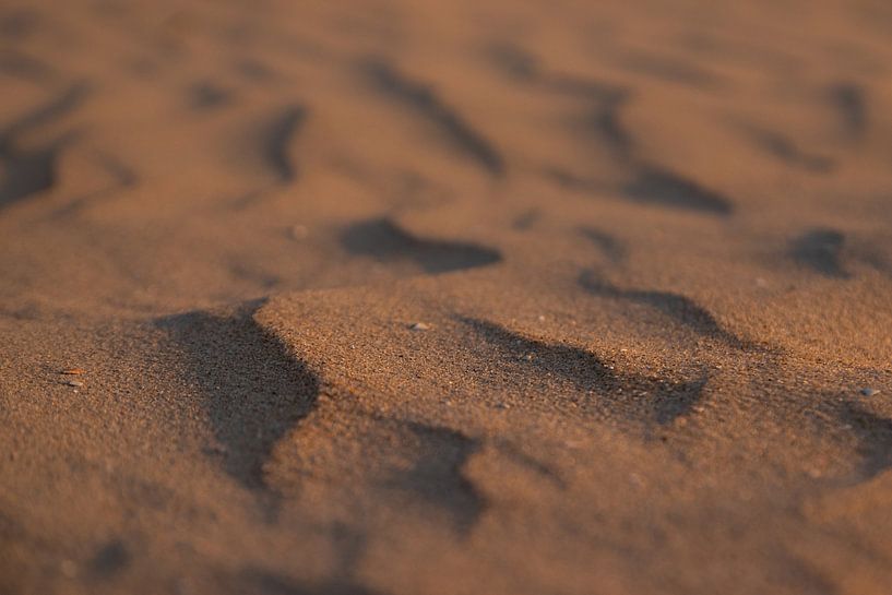 Structure in the sand by Nynke Altenburg
