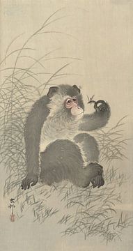 Ohara Koson - Affe mit Insekt (bearbeitet) von Peter Balan