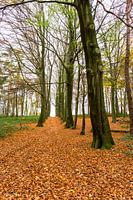 herfst