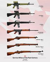Service Rifles of the past Century   Canada Poster