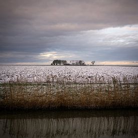 Winterfarben im Noordpolder, Groningen von Bo Scheeringa Photography