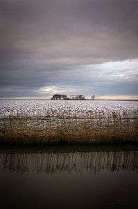 Winterfarben im Noordpolder, Groningen