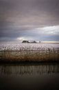 Winter colours in the Noordpolder, Groningen by Bo Scheeringa Photography thumbnail
