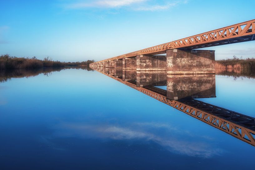 Water Mirror by Maikel Brands