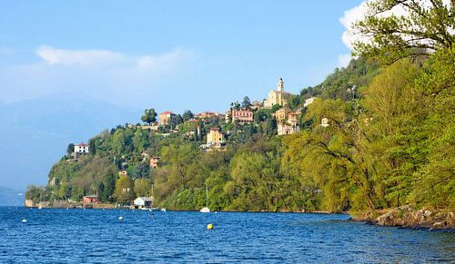 Pino sulla Sponda del Lago Maggiore