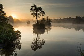 Sonnenaufgang Oisterwijkse vennen von Leo Kramp Fotografie