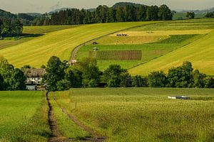 Wald Blumen Feld Landschaft Erzgebirge Städte Dörfer