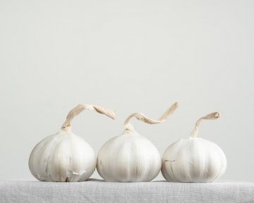 Setje knoflook