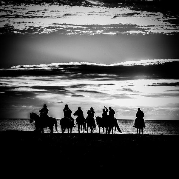 Horses on the Beach by Iacopo Giannini