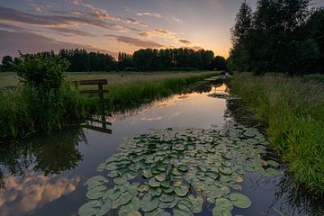 Landschaft von Carla Matthee