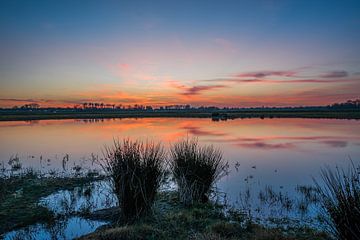 Natuurgebied Marumerlage bij Marum van Annie Jakobs