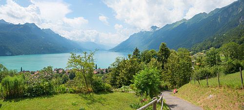 Wandelpad boven Brienz, uitzicht op het meer van Brienz Zwitserland