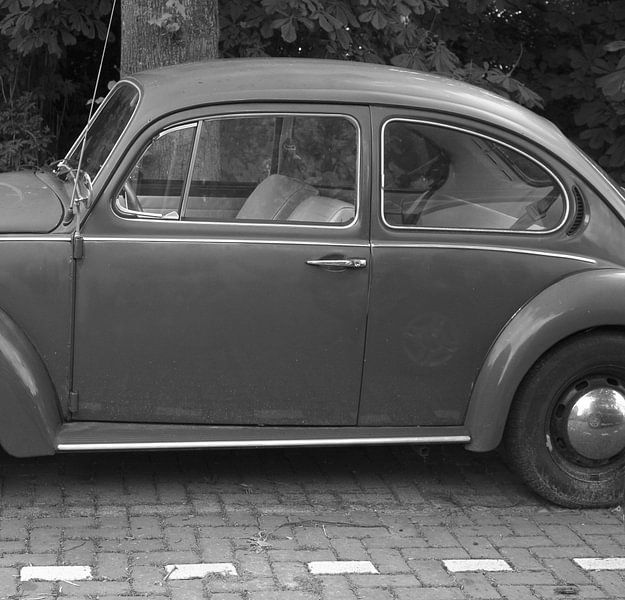 De Stijl van Sidney Graf