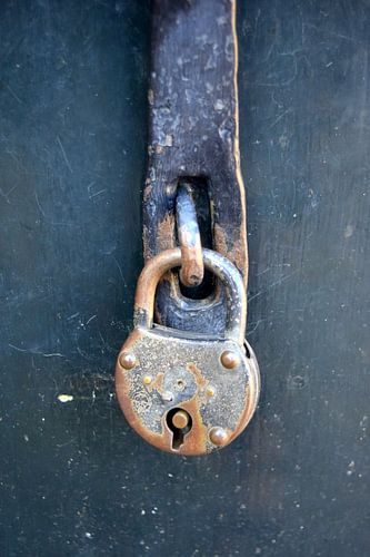 Vorhängeschloss von Nicolette Vermeulen