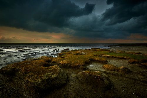 The Wadden Sea near Wierum in Friesland