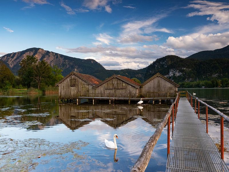 Morning mood at the Kochelsee by Andreas Müller