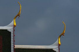 Des signes prometteurs dans la tempête qui s'annonce