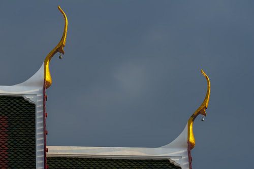 Gouden tekenen in de opkomende storm