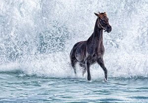 Paard in de golvende zee van Marcel van Balken