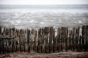 Wadden Sea by Remke Spijkers