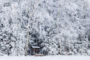 Wanderrastplatz unter verschneiten Birken im Erzgebirge