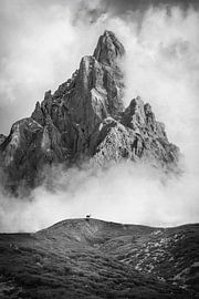 Punta Rolle am Passo Rolle, Dolomiten, Südtirol von Christian Müringer