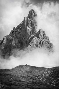 Punta Rolle am Passo Rolle, Dolomiten, Südtirol